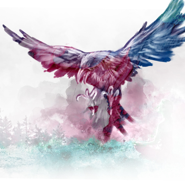 Fliegender Adler - Fine Art von Elena Bräsel
