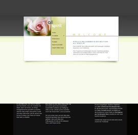 Bodensee-Design Referenz Website All-Spirit