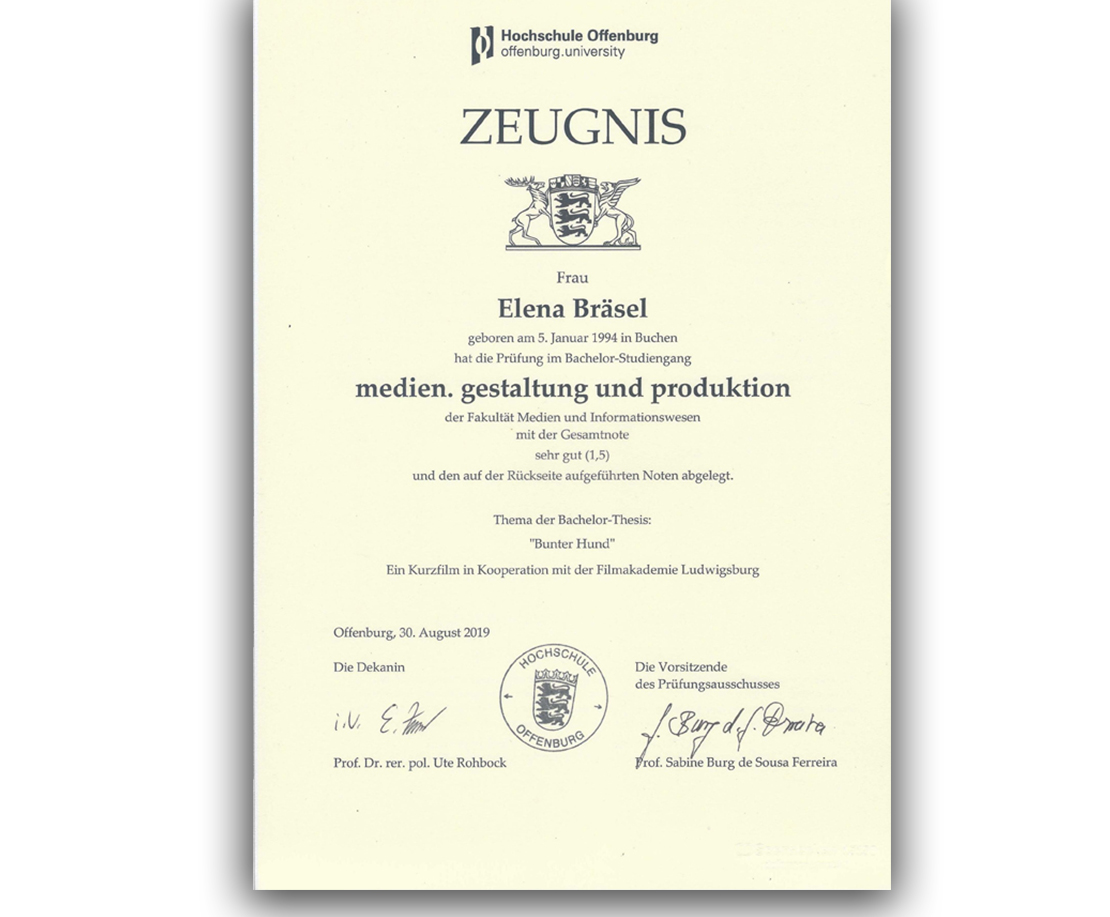 Elena Bräsel - Zeugnis Bachelor of Arts - Hochschule Offenburg